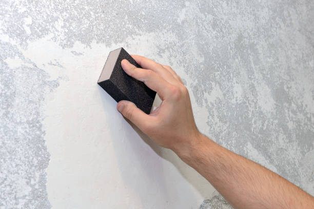 Best Crawl Space Mold Remediation  in Liberty Lake, WA