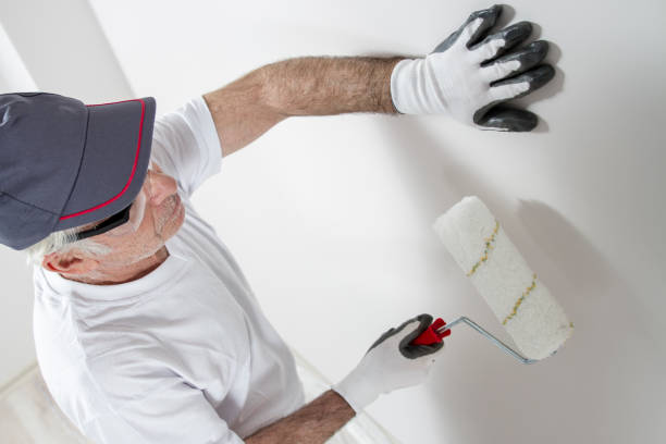 Best Mold Damage Restoration  in Liberty Lake, WA