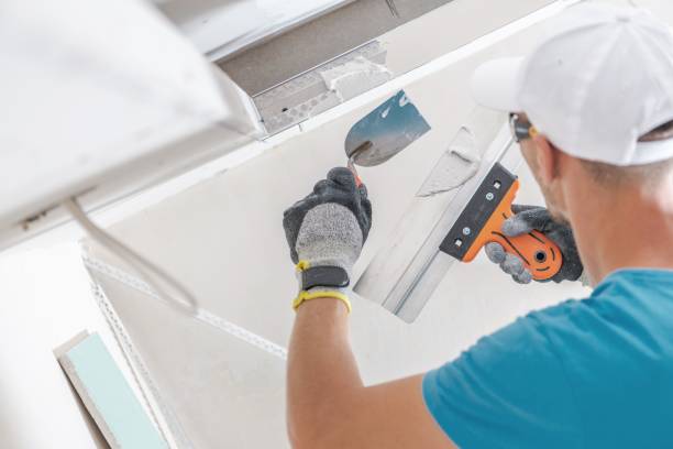 Best Black Mold Removal  in Liberty Lake, WA